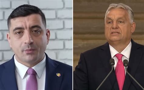 Az MLSZ által támogatott pályatípusok