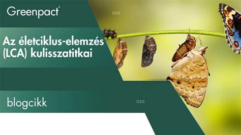 A szentiment elemzés módszertana és eredményeinek értelmezése