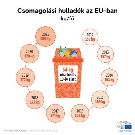 Focimeccs típusok infografika
