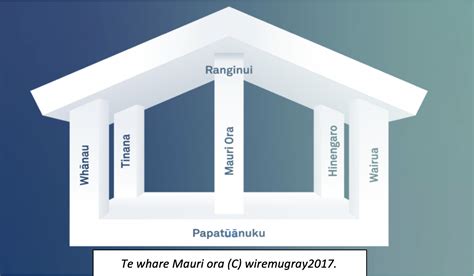 A Te Whare Mauri Ora modell sematikus ábrája