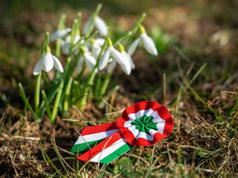 Magyar zászlók egy focipálya mellett, nemzeti ünnep