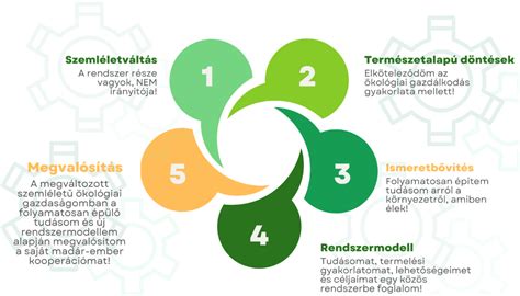 Kooperációs megállapodás folyamatábrája