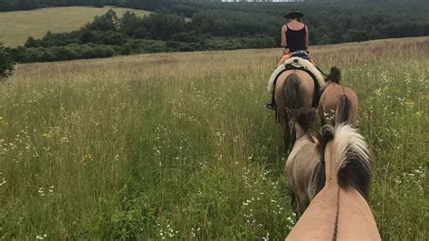 Lovaglás a természetben