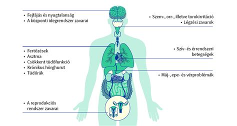 Súlycsoportok hatása a küzdelmek időtartamára infografika