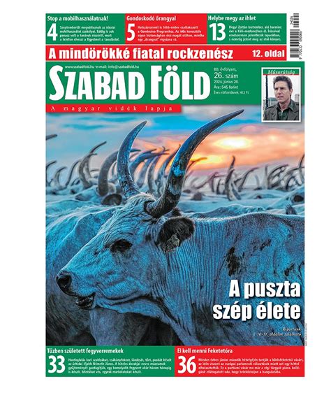 A Hajós és Pálháza csapatainak bemutatkozása a Szabad Föld Kupán
