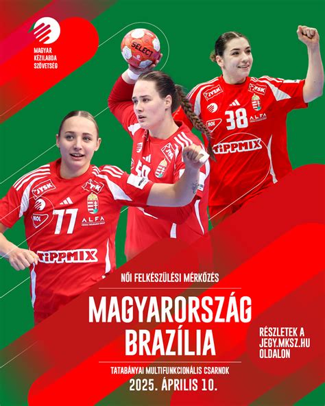 Kézilabdameccs szurkolói dobokkal és zászlókkal