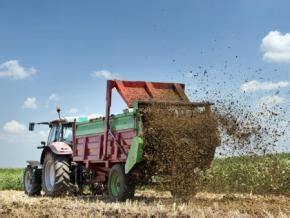 Szerves trágyázás komposzttal