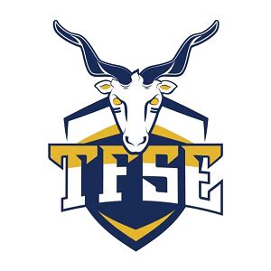 TFSE-MTK logó