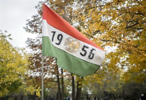 Az 1956-os magyar forradalom és a lyukas zászló