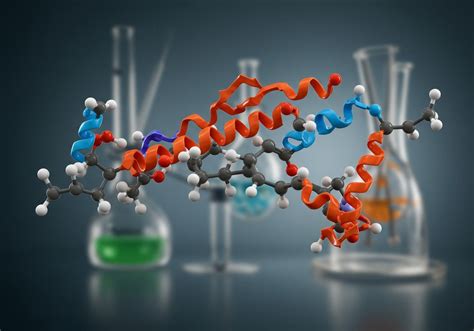 Biomolekulák szerkezete és funkciója