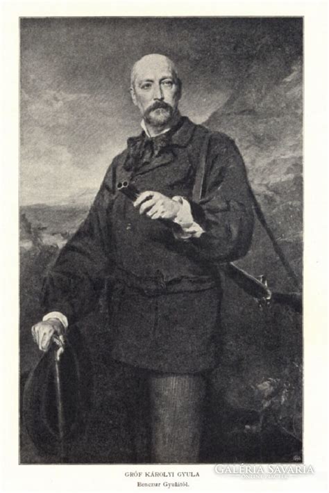 Károlyi József portréja