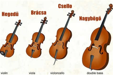 Gordonka (cselló) hangszer
