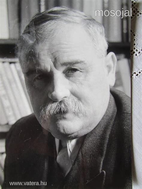 Veres Péter röplabdázó