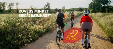 A MATE sporttámogatási rendszerének infografikája