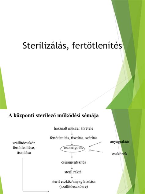 Edzésperiodizáció sémája