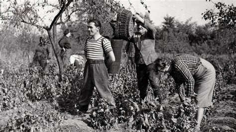 Turai labdarúgócsapat az 1950-es években