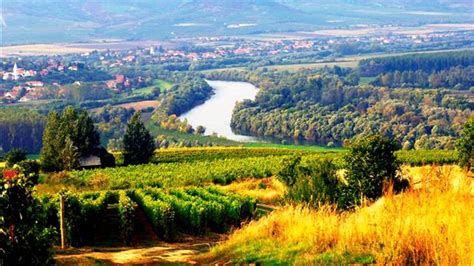 A Tokaji borvidék festői tája és szőlőültetvényei