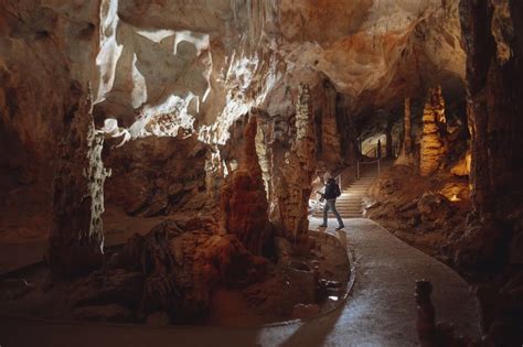 Barlang belsejében denevérekkel