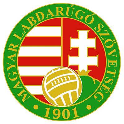 MLSZ U13 logó és egy kispályás focipálya