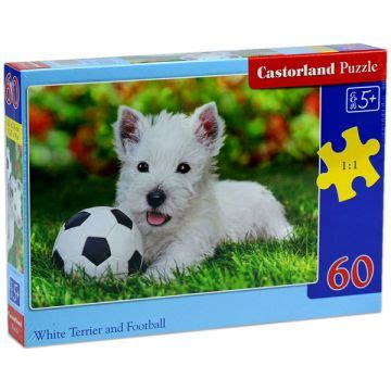 Westie kölyök focilabdával puzzle kép