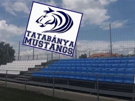 A Tatabánya Mustangs ünneplő csapata a díjátadón