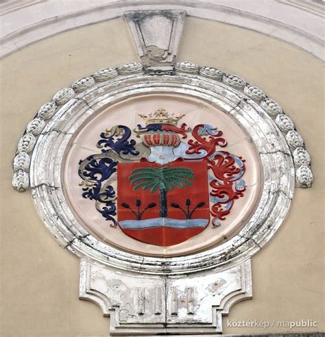 Szentes város címere focival