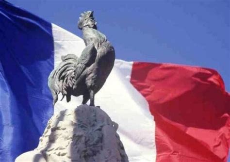 A francia rögbicsapat klasszikus kék meze a gall kakas szimbólummal