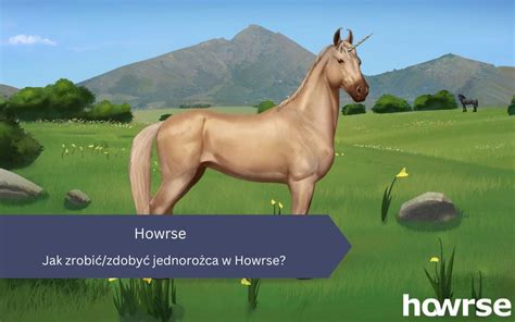 Lóeladás a Howrse-ban