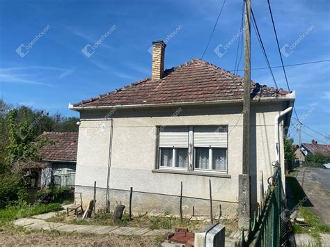 Kemendollár csapatfotó