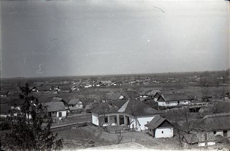 Az 1950-es évek kosárlabda edzőtábora