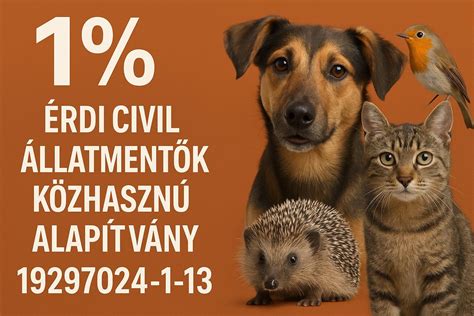 Állatmentés során dolgozó aktivisták