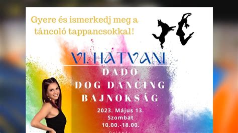 A DaDo Dog Dancing Bajnokság helyszíne és hangulata