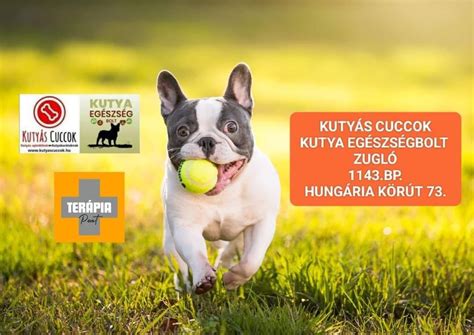Kutyás események látogatói