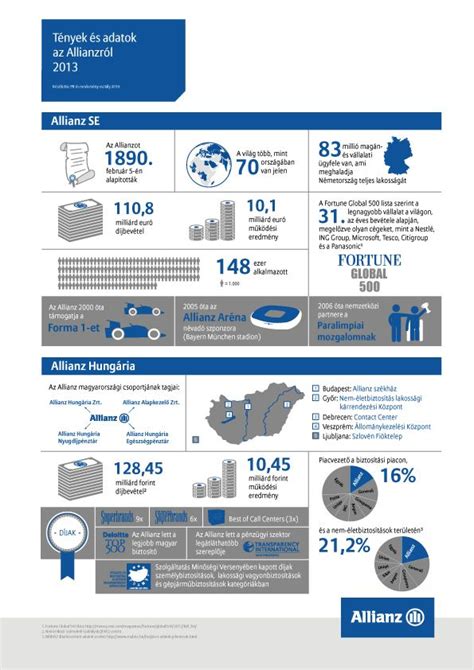 Infografika a névhasználat és az adatok rendszerezésének elveiről