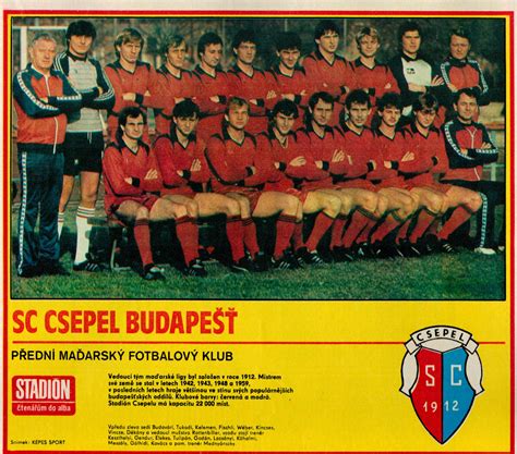 Régi Csepel SC röplabdacsapat fotója