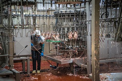 Kőbányai hentesek és vágóhídi dolgozók