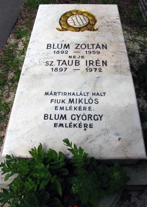 Blum Zoltán, az FTC fedezetsorának meghatározó játékosa