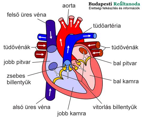 Az SI alapegységeinek ábrája