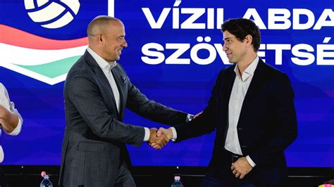 A budapesti vizes-vb legjobb képe 2017