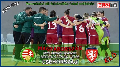 Akciódús pillanat a Magyarország-Csehország negyeddöntőből