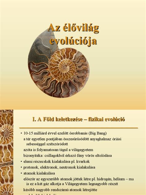 Történelmi focimezek evolúciója