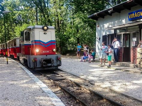 Gyermekvasút jegyárak és utazási kedvezmények