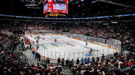 Jégkorong meccs statisztikai grafikonja