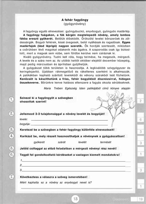 Példa alcímekkel tagolt szövegre