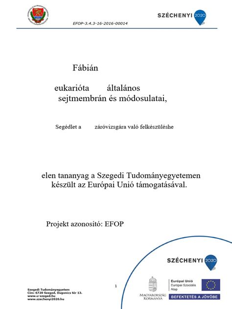Labdarúgó tabella általános szerkezete: oszlopok és sorok