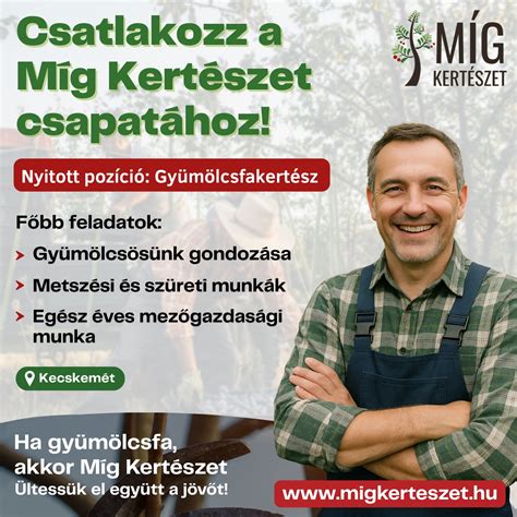 Edzői stáb munkában: videóelemzés és fizikai felkészítés