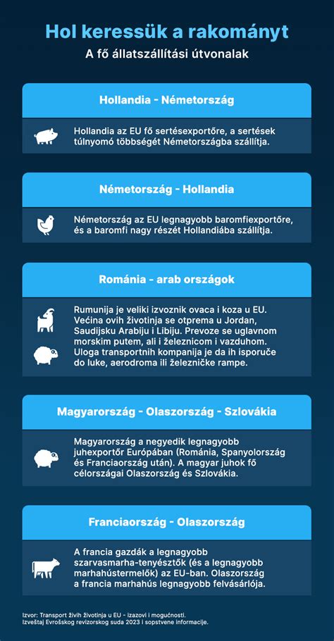 Élő eredménykövető felület infografika