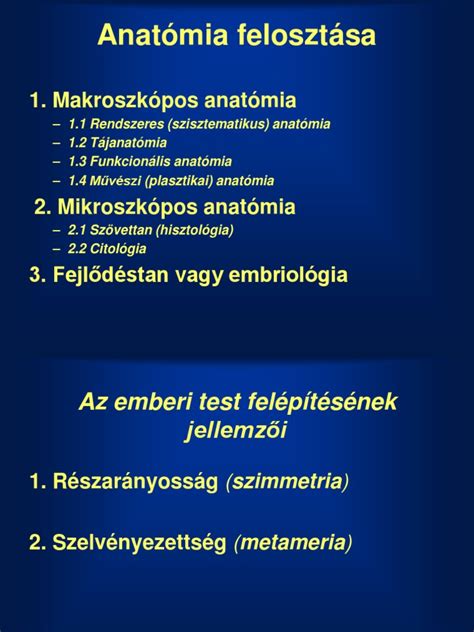 A futballpálya felosztása és főbb részei