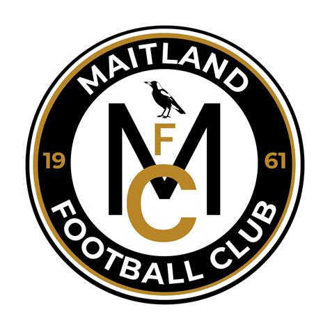 Maitland FC csapatlogó és stadion