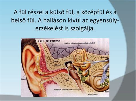 Külső védő elhelyezkedése és mozgástere a kézilabdapályán